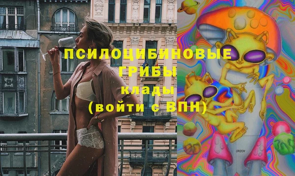 соль курить ск Алзамай