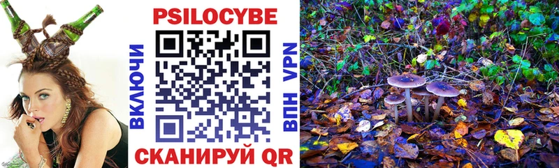 нарко площадка формула  Приморск  Псилоцибиновые грибы GOLDEN TEACHER 