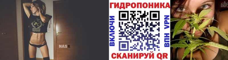 Марихуана гибрид Приморск